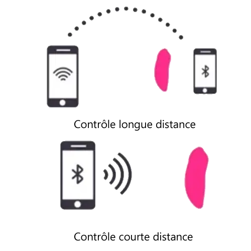 lovense ferri connecté